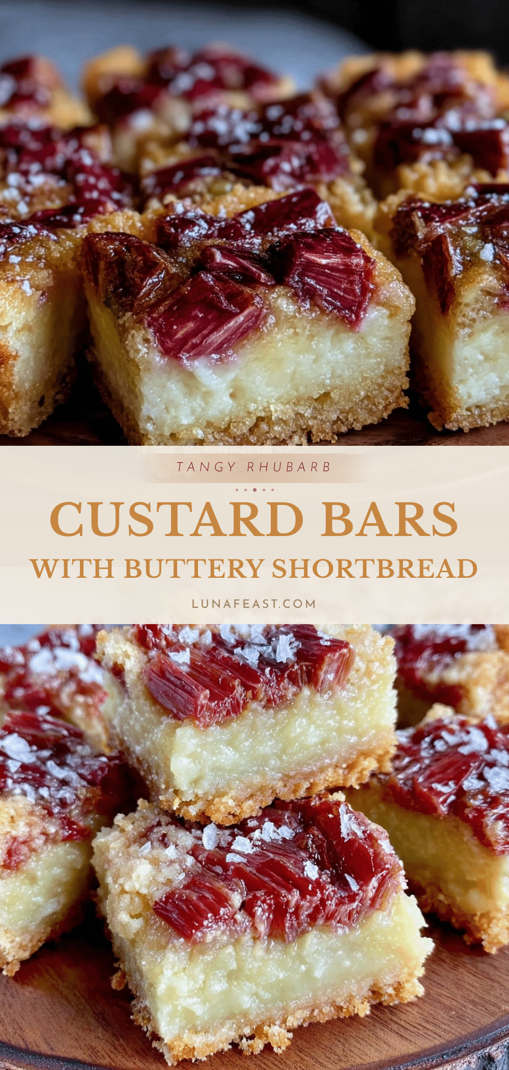 cozy rhubarb custard bars recipe
