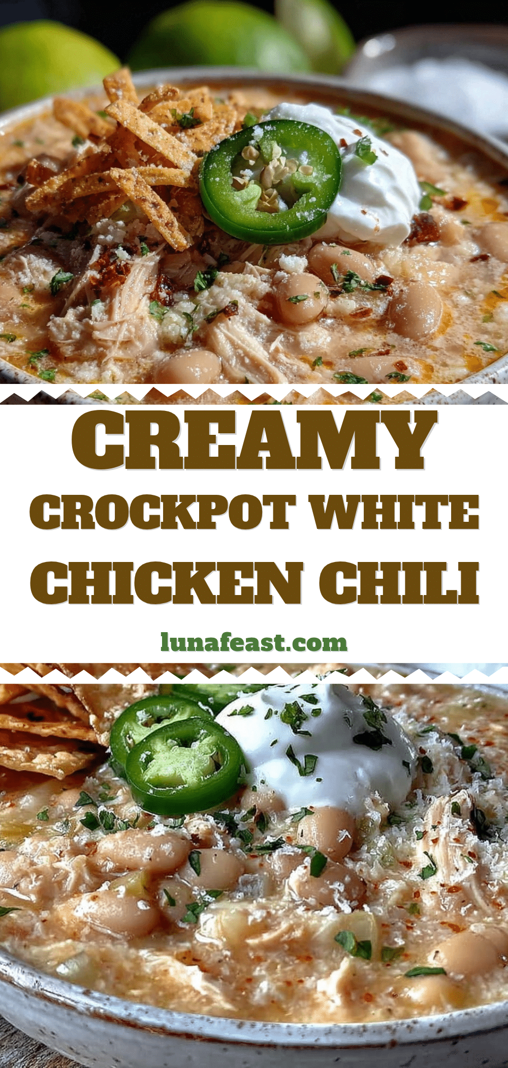 creamy crockpot white chicken chili recipe