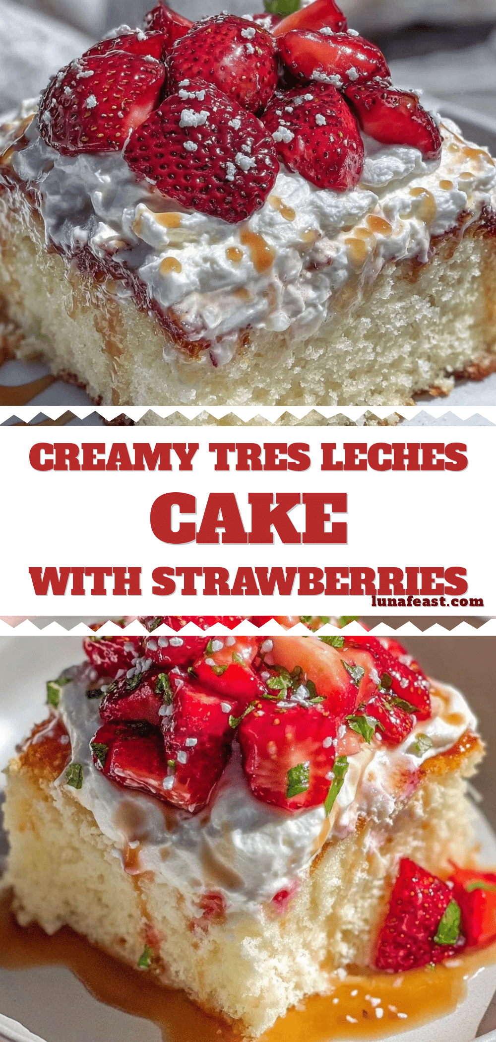 creamy tres leches cake recipe