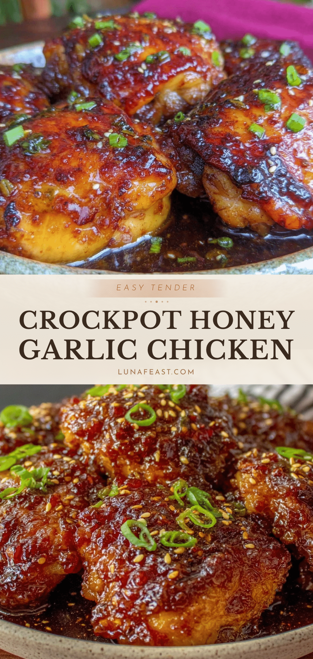 crockpot honey garlic chicken thighs recipe