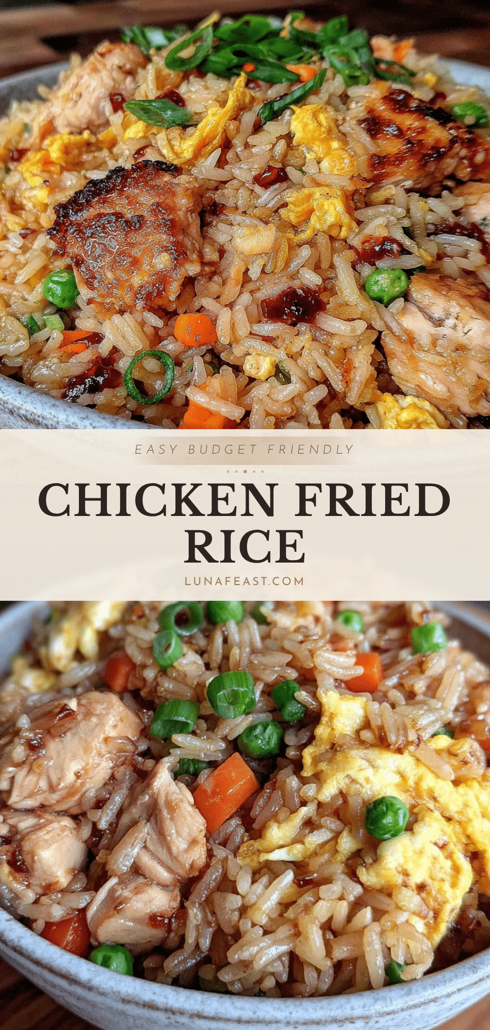 easy budget-friendly chicken fried rice recipe