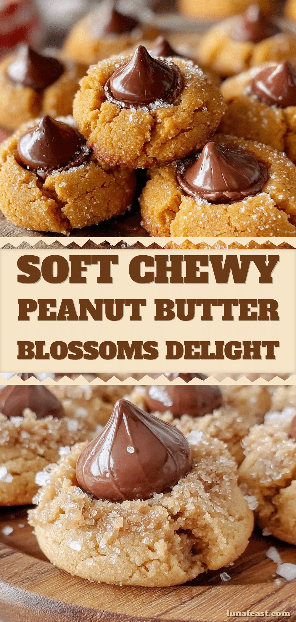 peanut butter blossoms recipe recipe