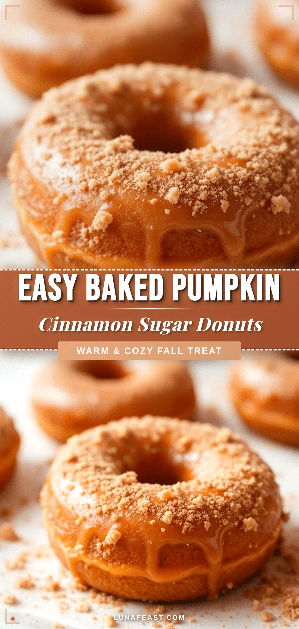 baked pumpkin donuts cinnamon sugar recipe