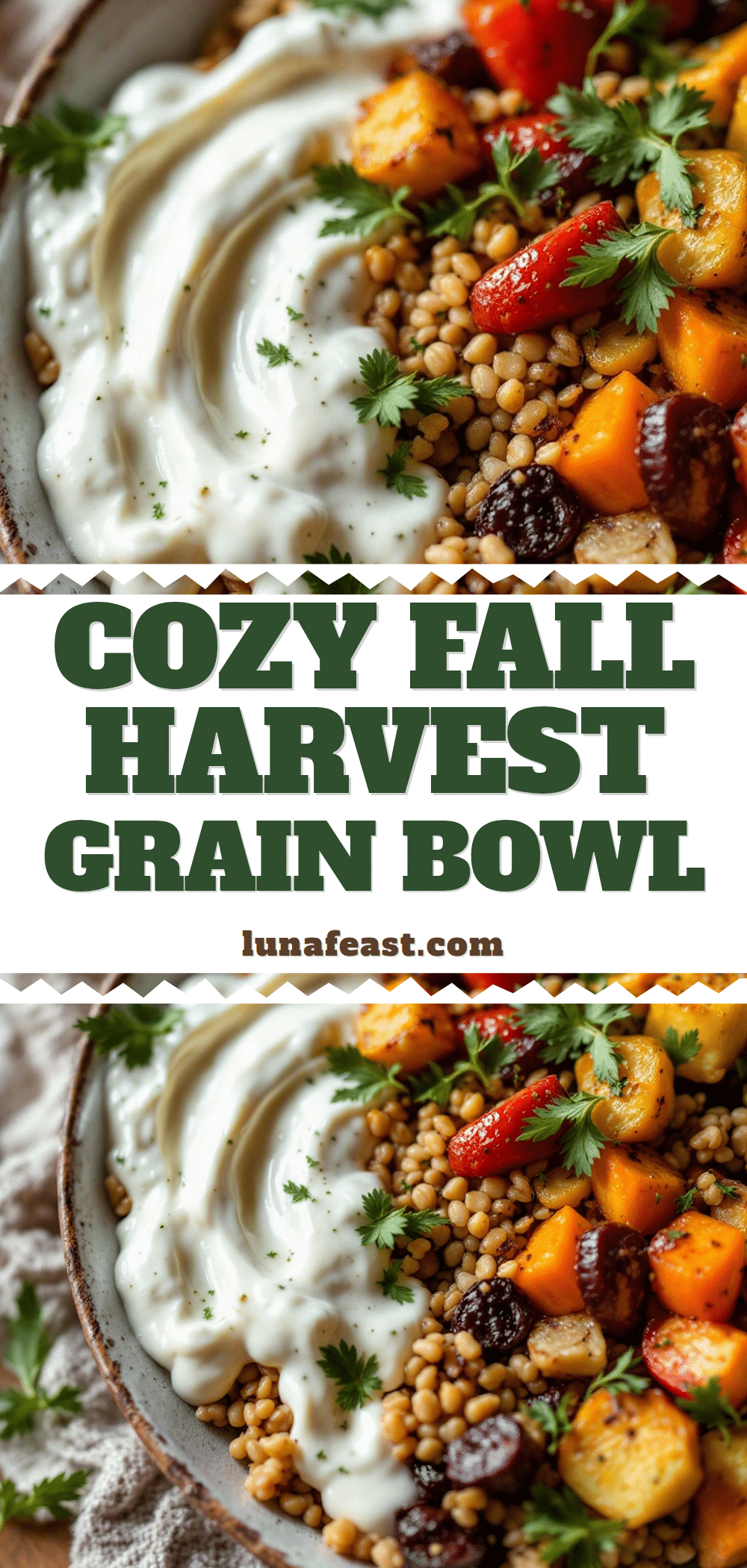 cozy fall harvest grain bowl recipe
