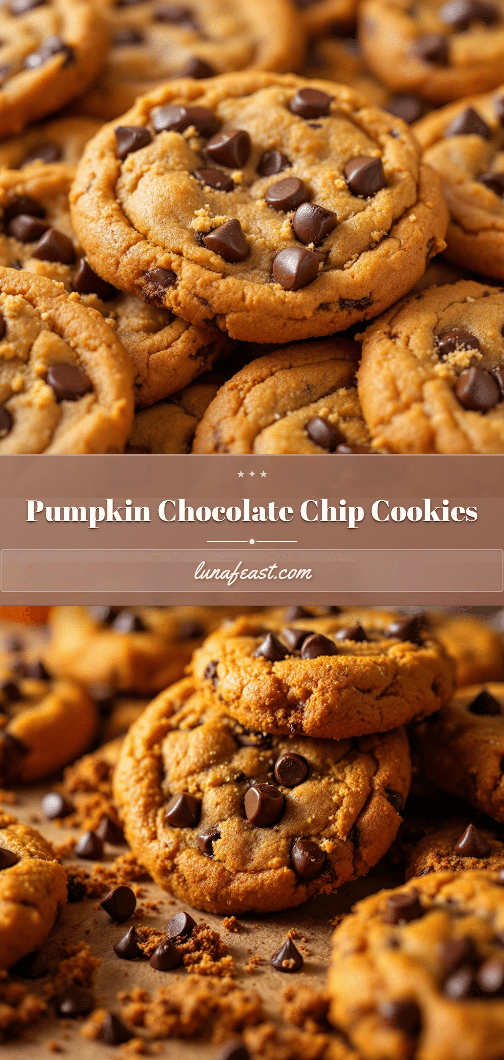 pumpkin chocolate chip cookies recipe