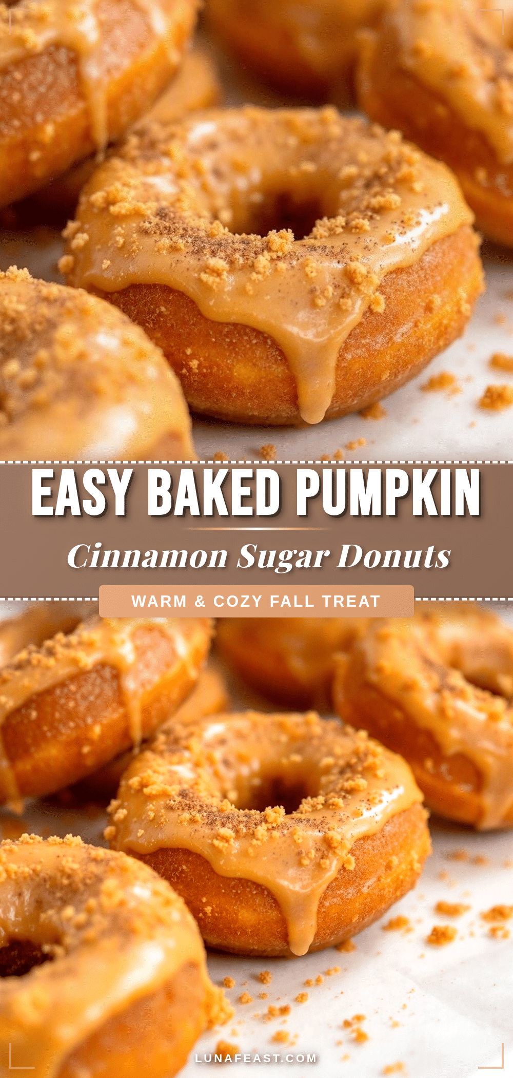 baked pumpkin donuts with cinnamon sugar recipe