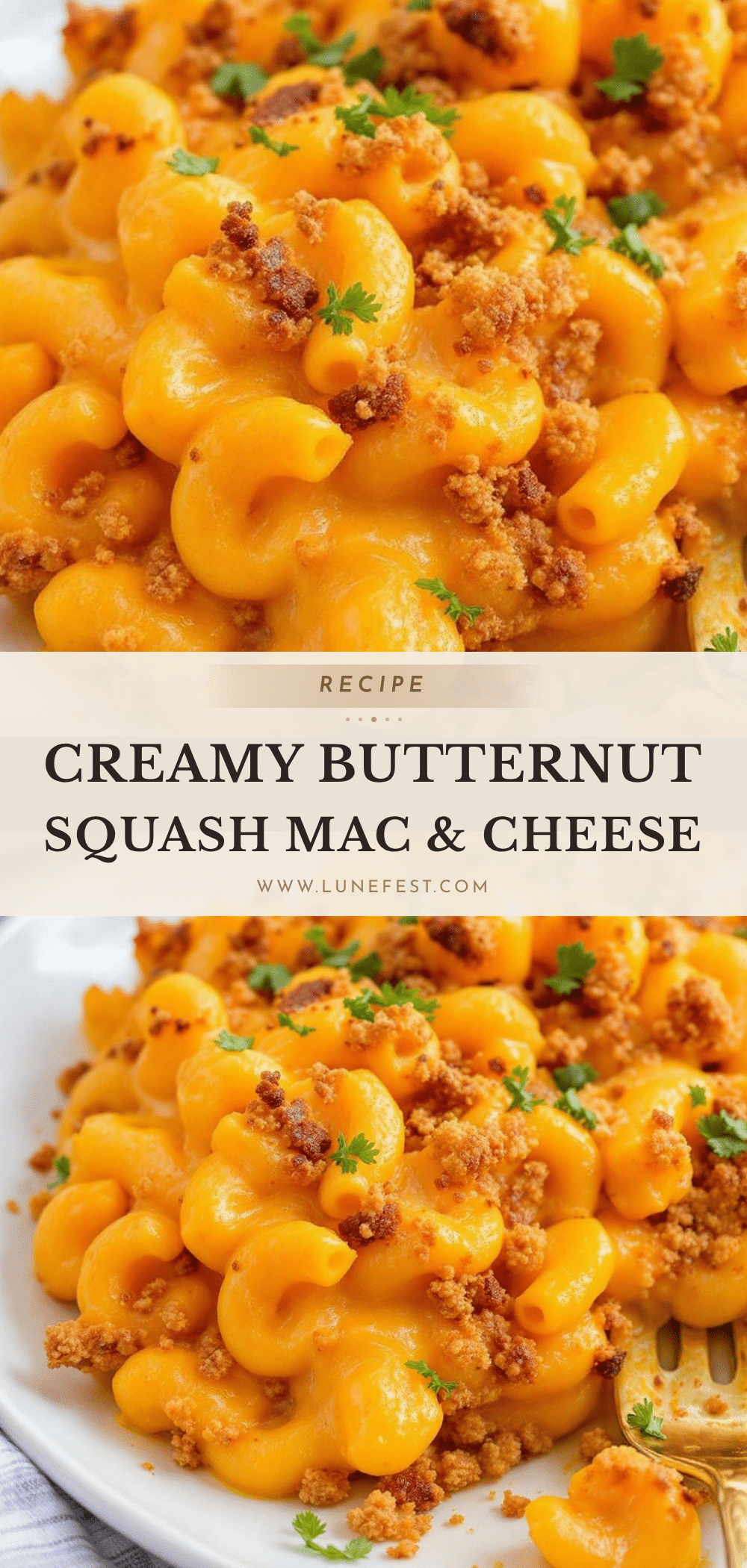 butternut squash mac and cheese recipe