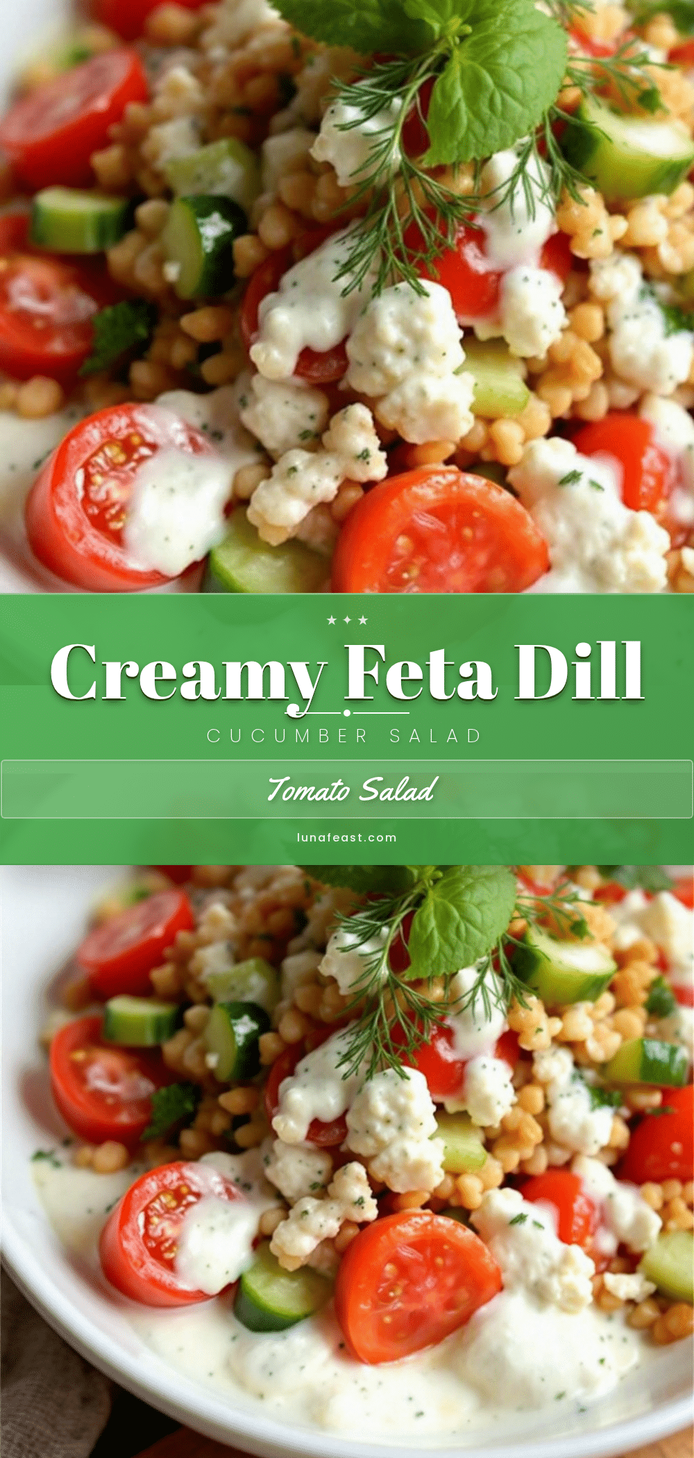 creamy cucumber tomato salad recipe