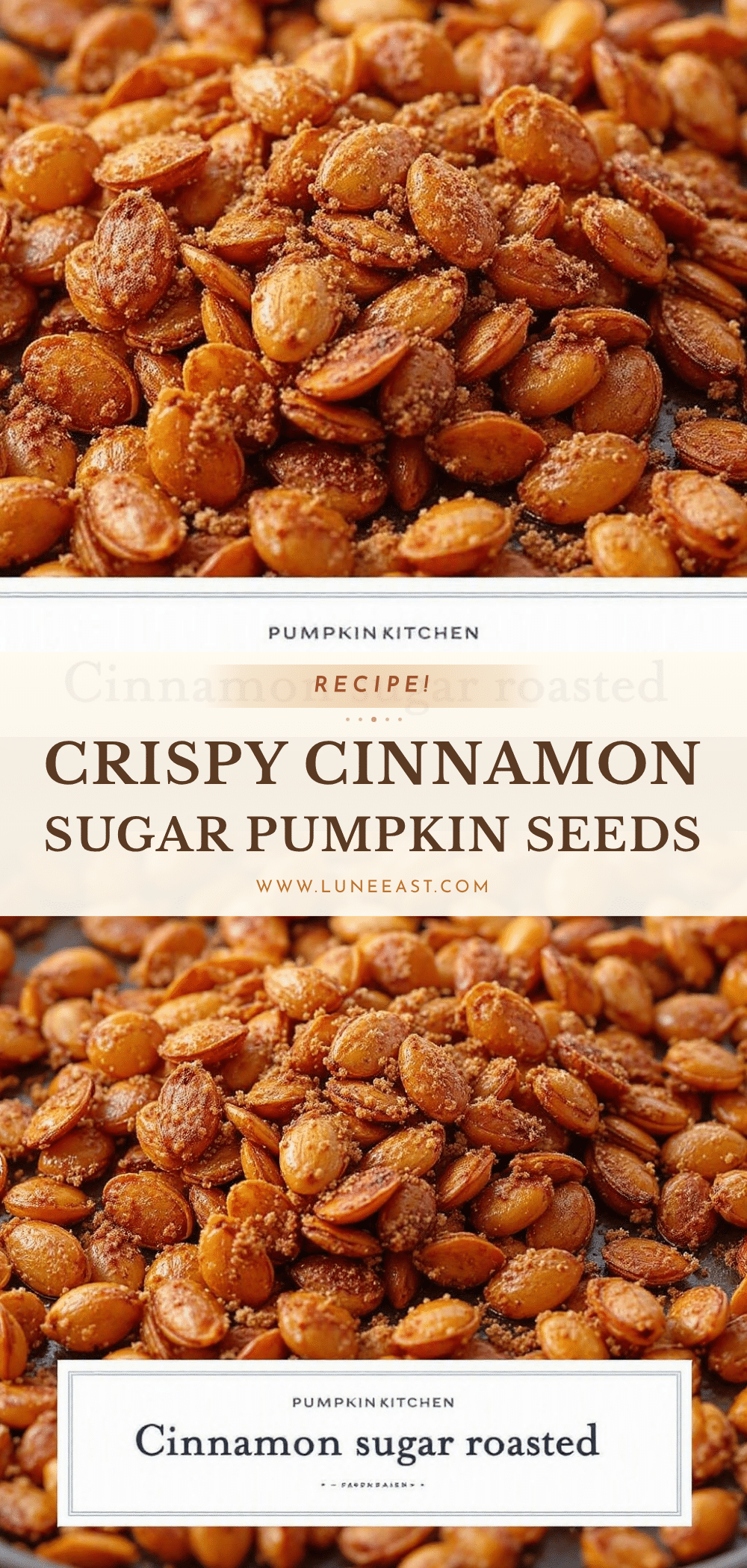 crispy cinnamon sugar roasted pumpkin seeds recipe
