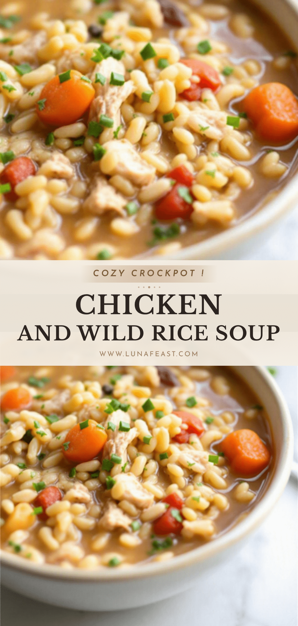 crockpot chicken and wild rice soup recipe