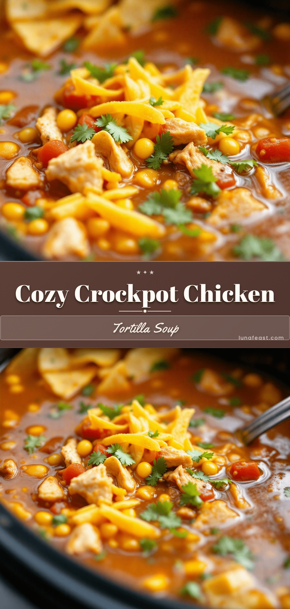 crockpot chicken tortilla soup recipe