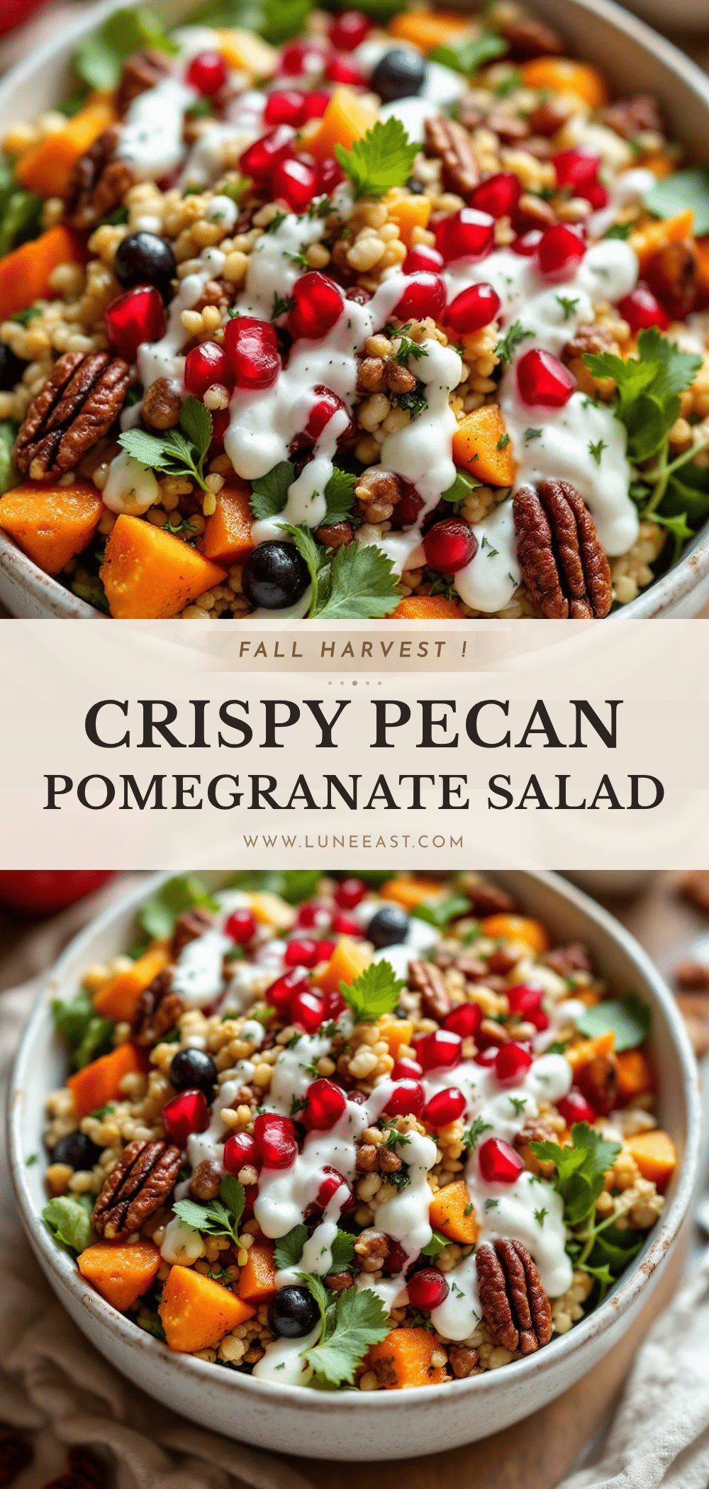 fall harvest salad recipe