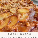 moist small-batch apple dapple cake - featured image