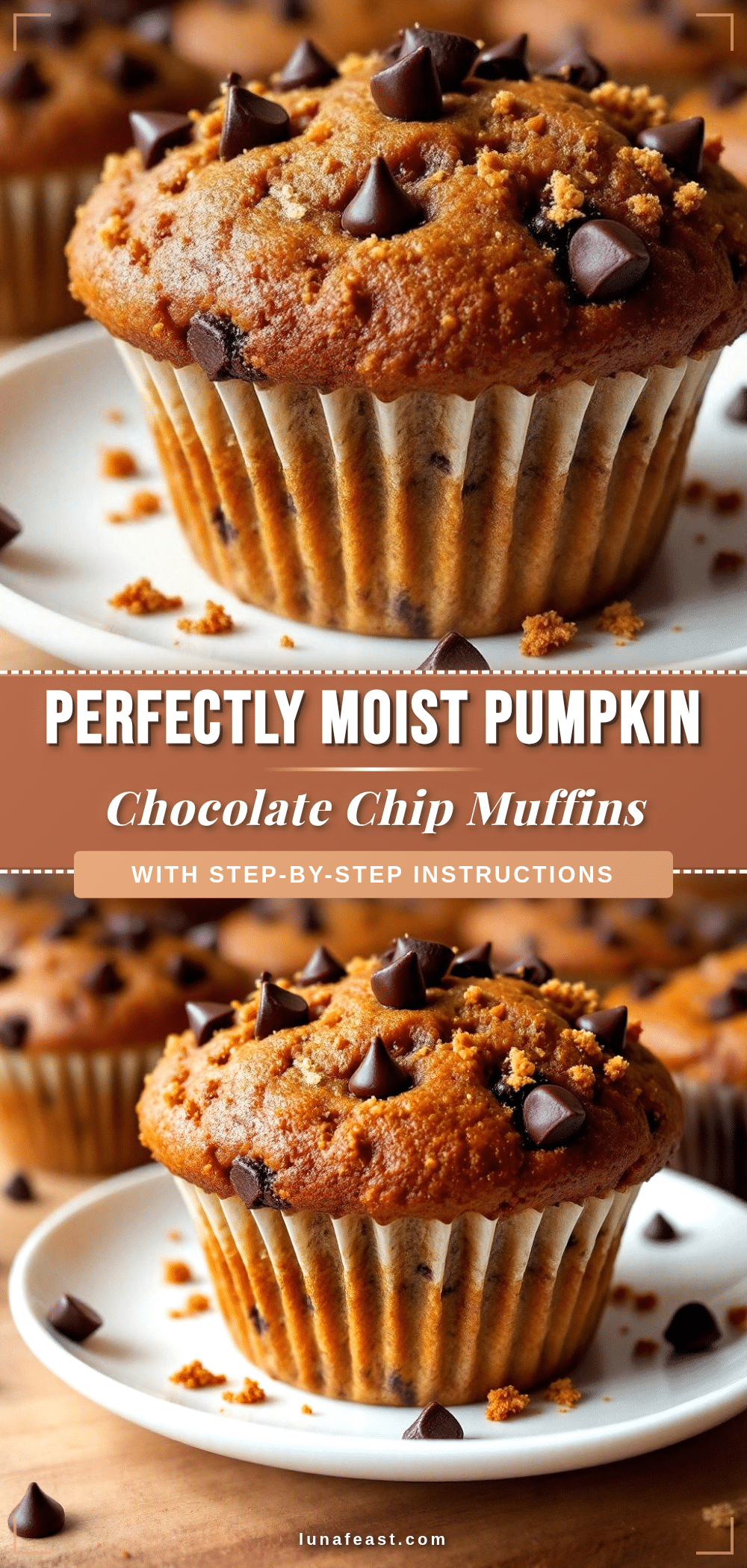 pumpkin chocolate chip muffins recipe