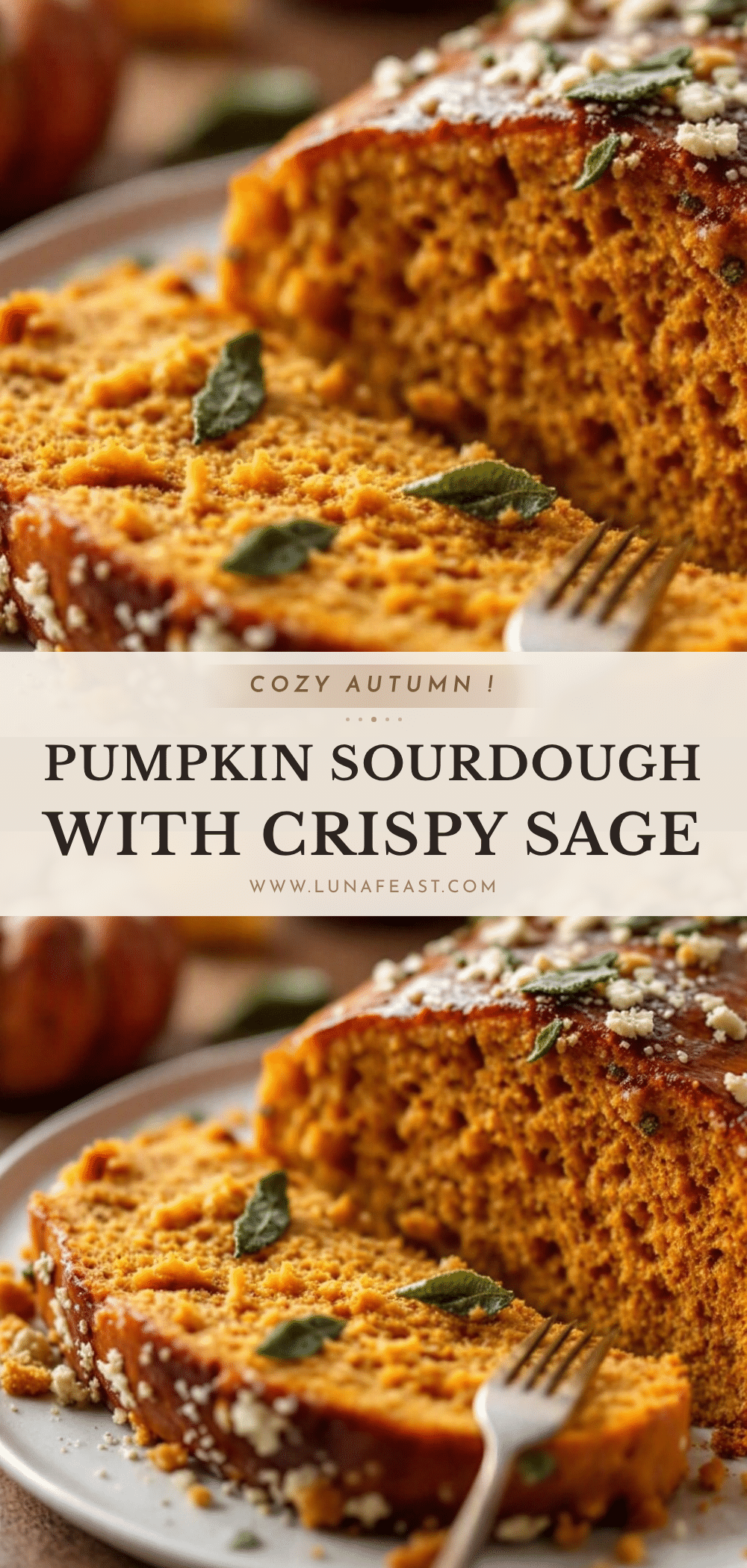 pumpkin sourdough bread recipe